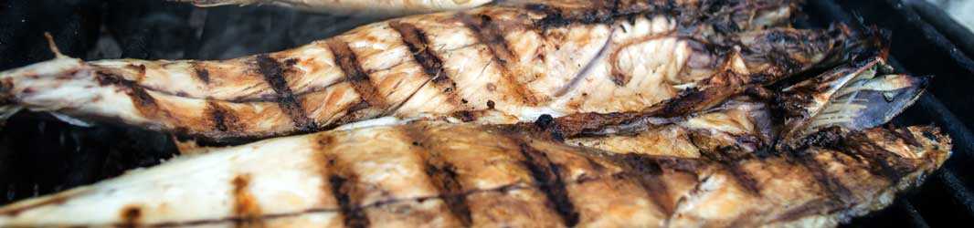 Pesce - Fisch